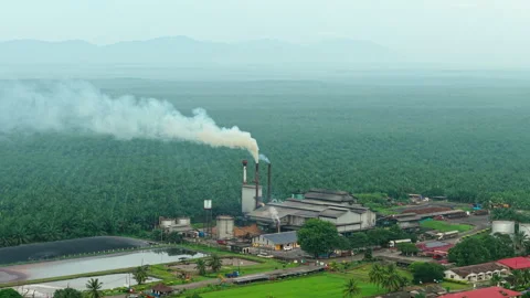 Palm Oil Processing Malaysia Aerial - Mill FFB Truck Delivery Steam 4K 스톡 동영상 329549344