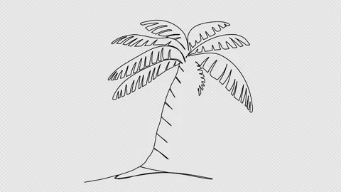 Palm one line drawing animation. Video clip with alpha channel. Video stock 259072012