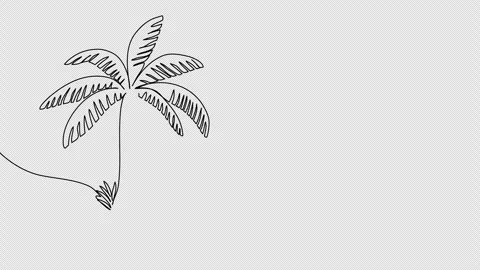 Palm one line drawing animation. Video clip with alpha channel. Video stock 259074064