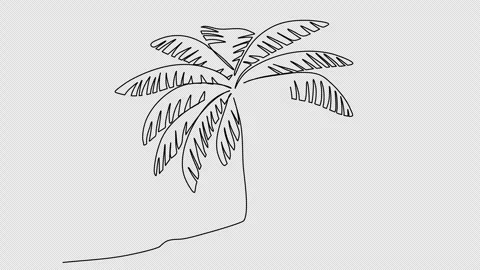 Palm one line drawing animation. Video clip with alpha channel. Video stock 259074278