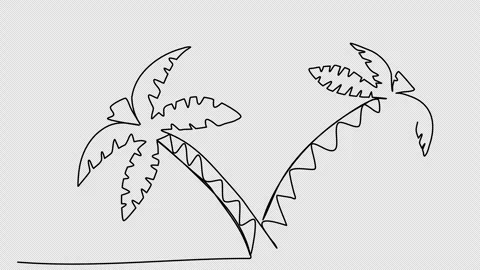 Palm one line drawing animation. Video clip with alpha channel. Stock-Footage 264906122