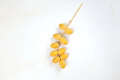 Palm Phoenix dactylifera or Date palm fruit isolated on the white background Stock Photos