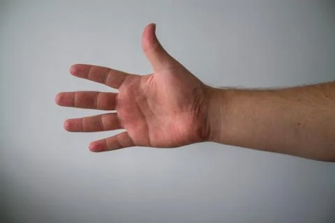 Palm Stock Photos