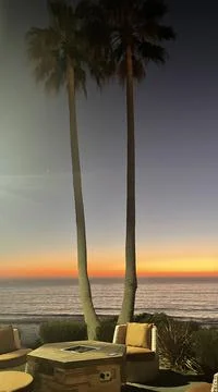 Palm 🌴 Stock Photos