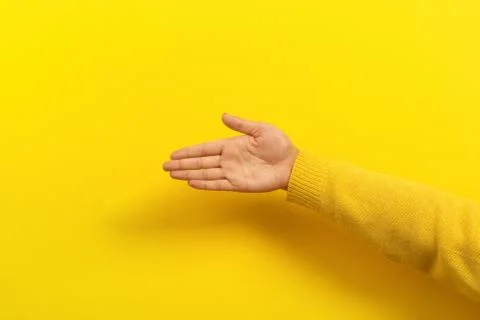 Palm with place for text Stock Photos