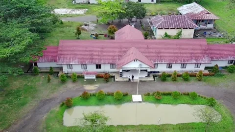 Palm plantations Video stock 239119159