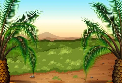 Palm plants and grass Stock Illustration