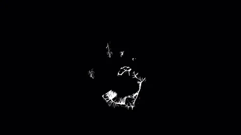 The palm print on a black background video animation Stock Footage 85013792