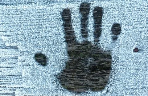 Palm print Stock Photos