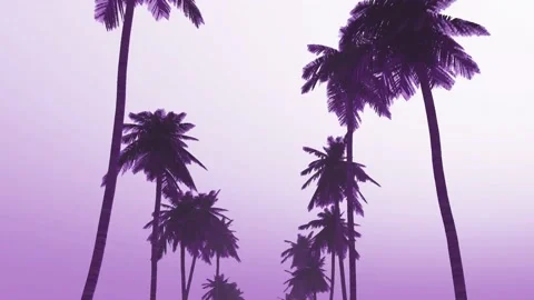 Palm purple Stock Footage 142590464