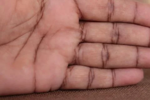 Palm reading concept.Open palm. Stock Photos