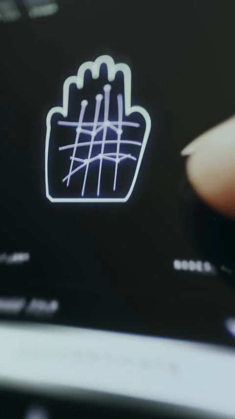 Palm recognition system verifying identity for secure login Stock Footage 335457125