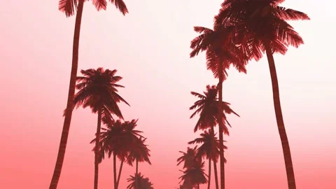 Palm red final Video stock 142587550