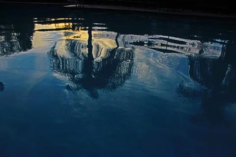 Palm reflection 스톡 사진