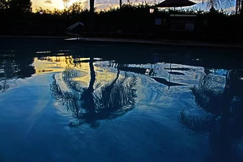 Palm reflection 스톡 사진