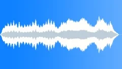 Palm Sander Sound Effect