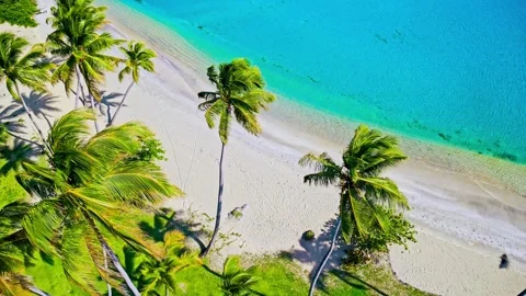 Palm sandy beach and turquoise sea. Beautiful view of the lagoon by the sea. Stock Footage 310564552