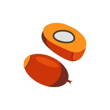 Palm seed vector illustration isolated on white background Stock Illustration