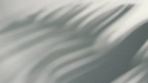 A Palm Shadow Swaying Background Stock Footage 274689658