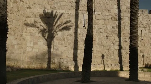 Palm shadow on the wall of the old city in jerusalem Stock Footage 69742477