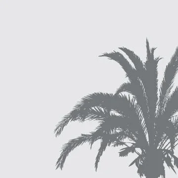 Palm shadow on the wall. Vector illustration. イラスト素材
