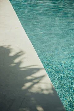 Palm shadows cast on poolside deck beside turquoise pool water Stock Photos