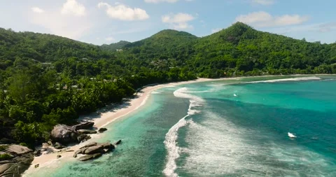 Palm shadows over a clear turquoise sea. Seychelles, Mahe. 스톡 동영상 345385215