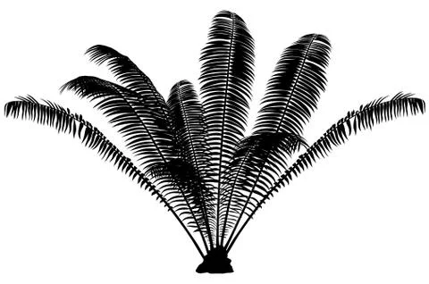Palm Silhouette Stock Illustration