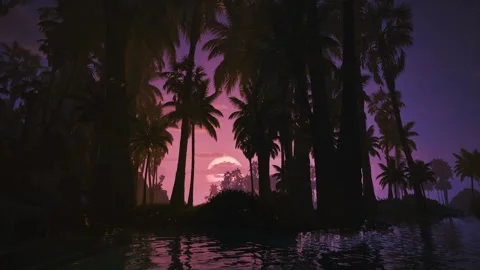 Palm Silhouette Sunset Stock Footage 321468599