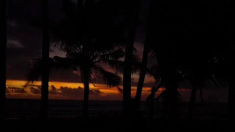 Palm silhouettes at tropical sunset sky on Bali island near ocean Stock Footage 314683098