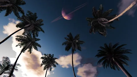Palm silhouettes under twilight sky and crescent moon, seamless loop 스톡 동영상 335019849