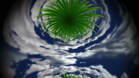 Palm. Spherical abstract animation. Fish-eye lens distortion. Stock Footage 155750979