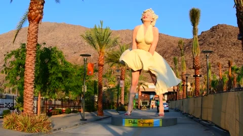 Palm Springs Video stock 156298498