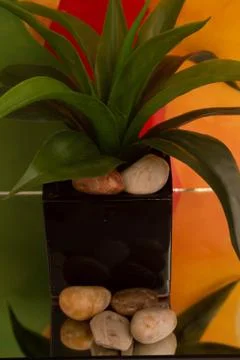 Palm with Stones -2440 Stock Photos