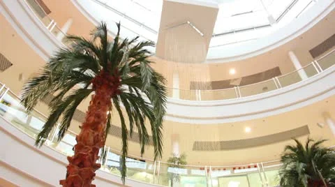 Palm in store Stock-Footage 10571868
