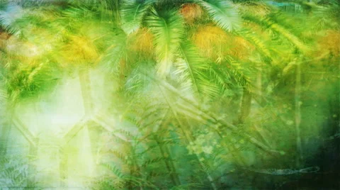 Palm Sunday 1080  background Stock Footage 50611228