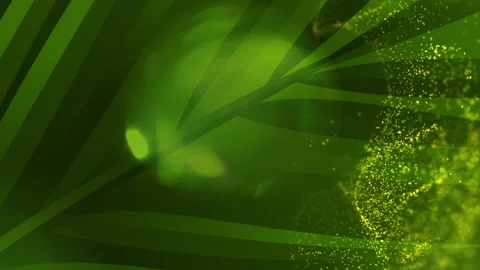Palm Sunday BG 2 Stock Footage 330925779