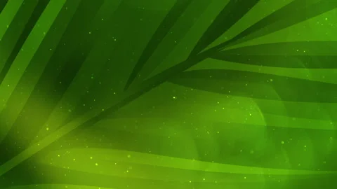 Palm Sunday BG 3 Stock Footage 330925784