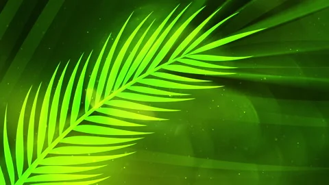 Palm Sunday BG 4 Stock Footage 330925786