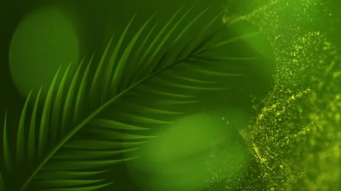 Palm Sunday BG Stock Footage 330925754
