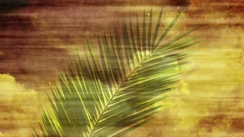 Palm Sunday Leaf And Rolling Clouds Stock Footage