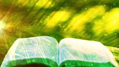 Palm Sunday Open Bible Background Stock Footage 71966057