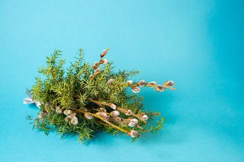 Palm Sunday Stock Photos