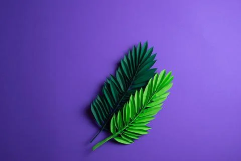 Palm Sunday Stock Photos