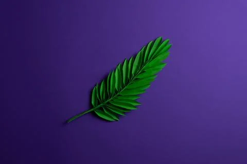Palm Sunday Stock Photos