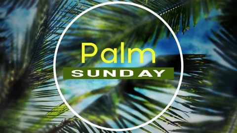 Palm Sunday Text And Branches Religious Background Stock Footage 150696515