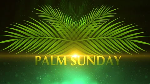 Palm Sunday   Text Stock Footage 176993365