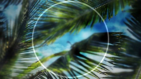 Palm Sunday Title Ready Motion Graphics Stock Footage 150696504