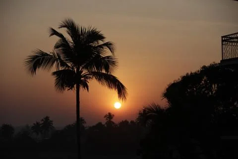 Palm Sunrise Stock Photos