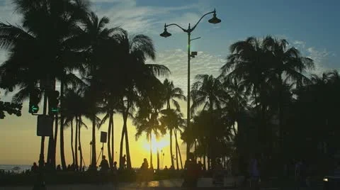 Palm Sunset Stock Footage 11221265